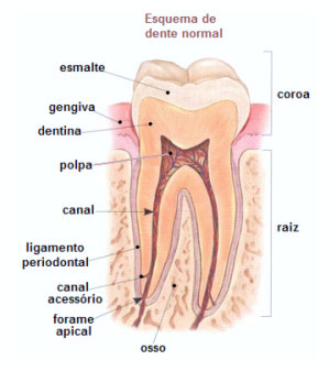 Clareamento Dental Curitiba