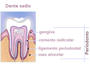 Dentista Curitiba